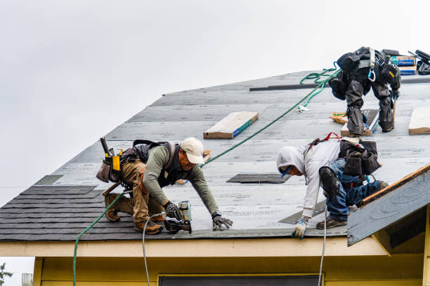 Professional Gutter Installation technician working in Lone Grove, OK